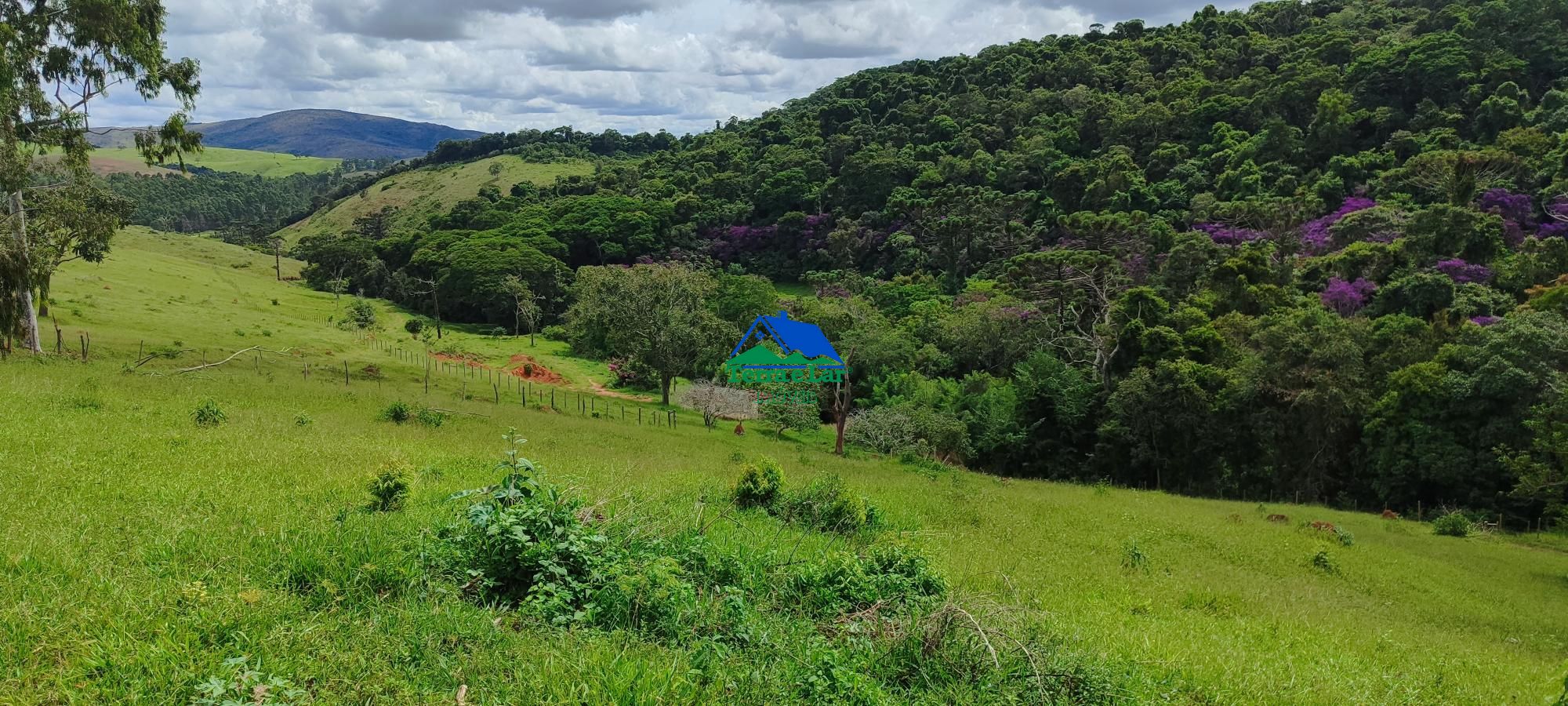 img127687077