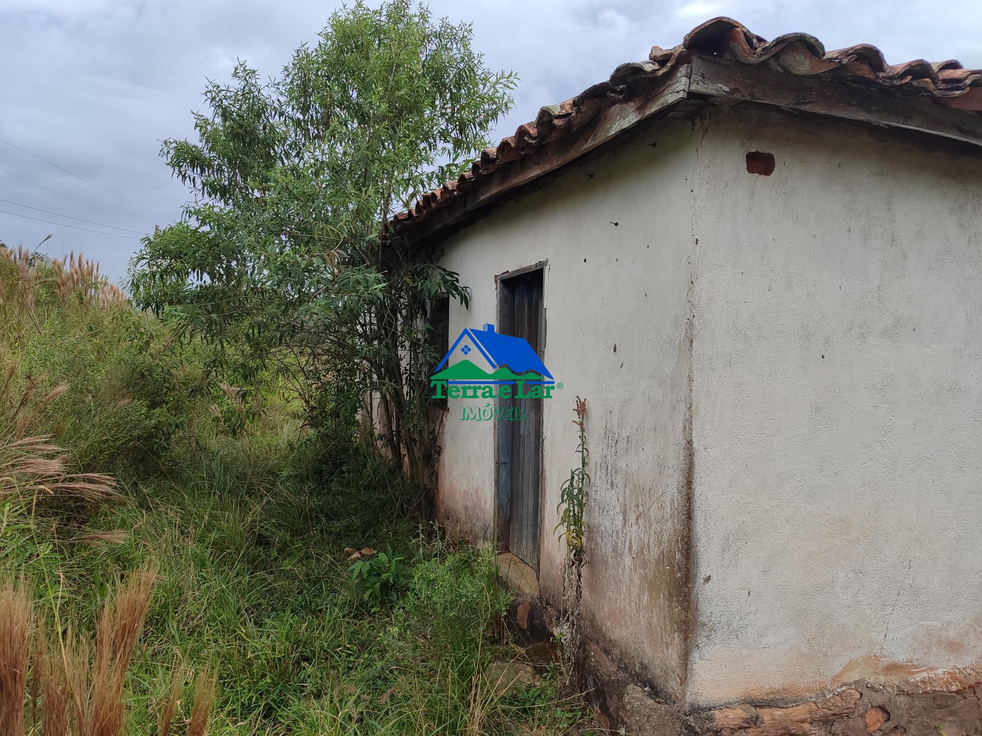 img192473952