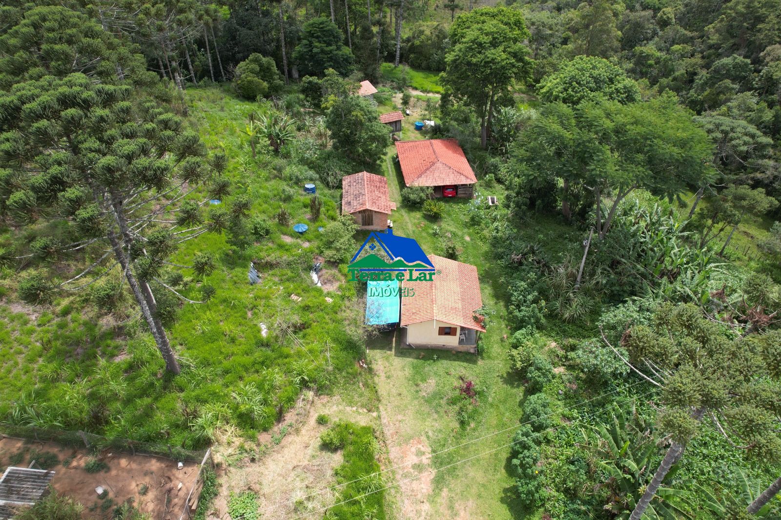 Chácara, 14 hectares - Foto 4