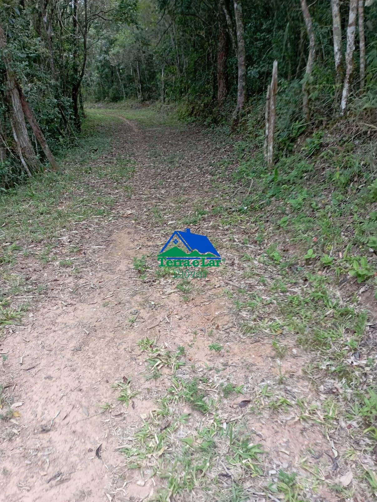 img335624170