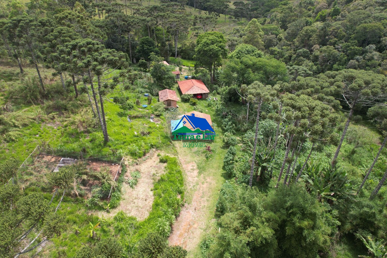 Chácara, 14 hectares - Foto 3