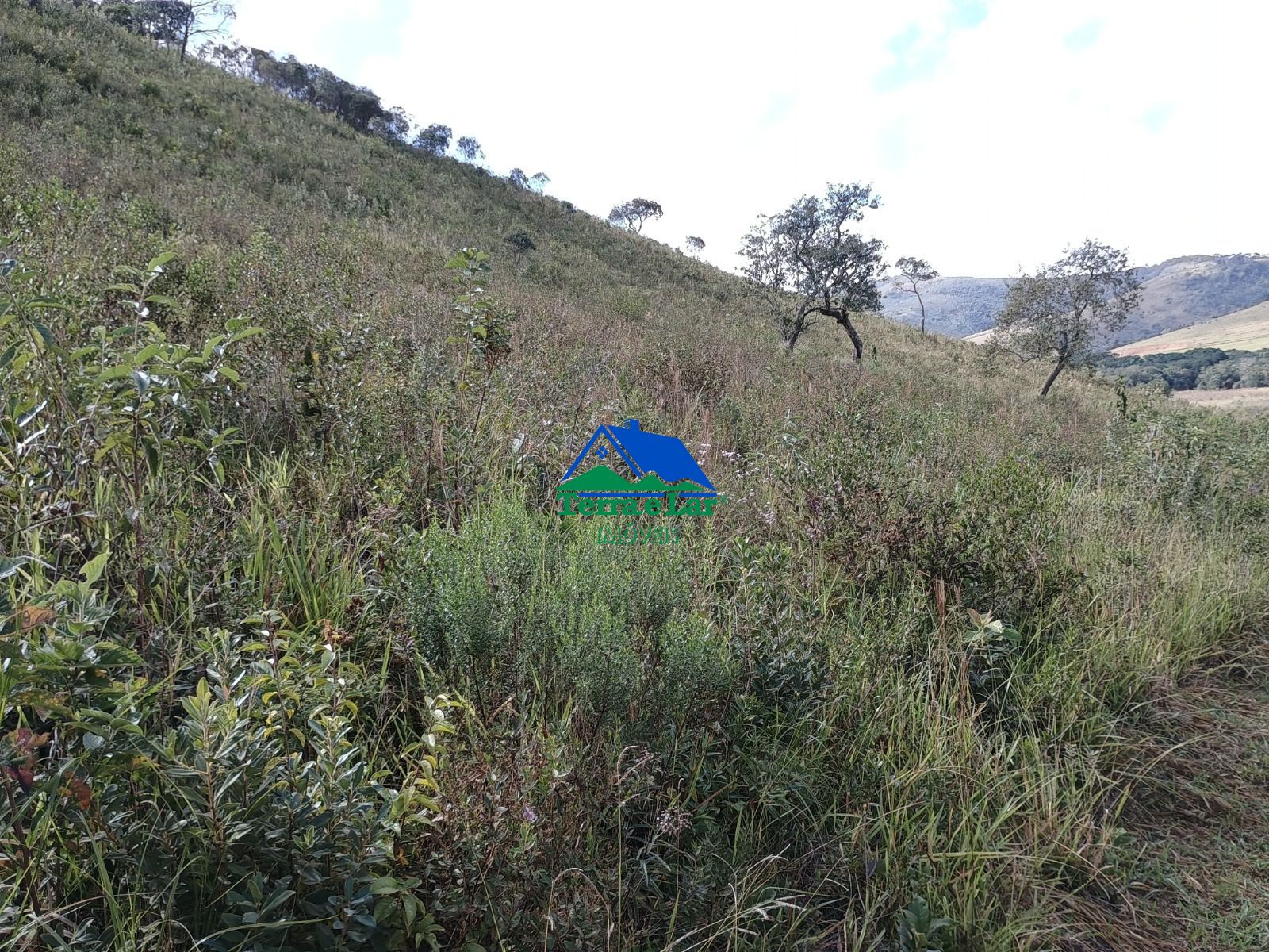 img335624169