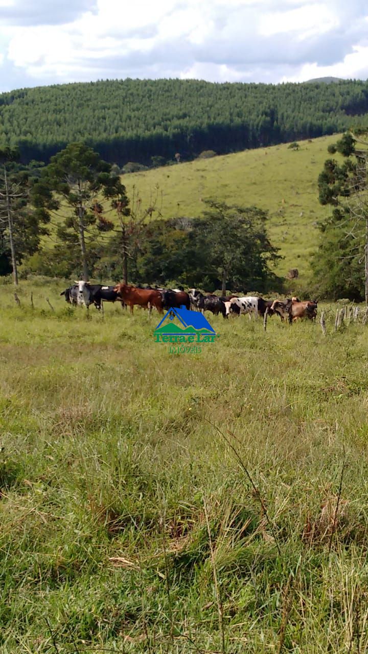 Chácara de 2 quartos, 210000m² no bairro Zona Rural, em Liberdade | Eu Corretor