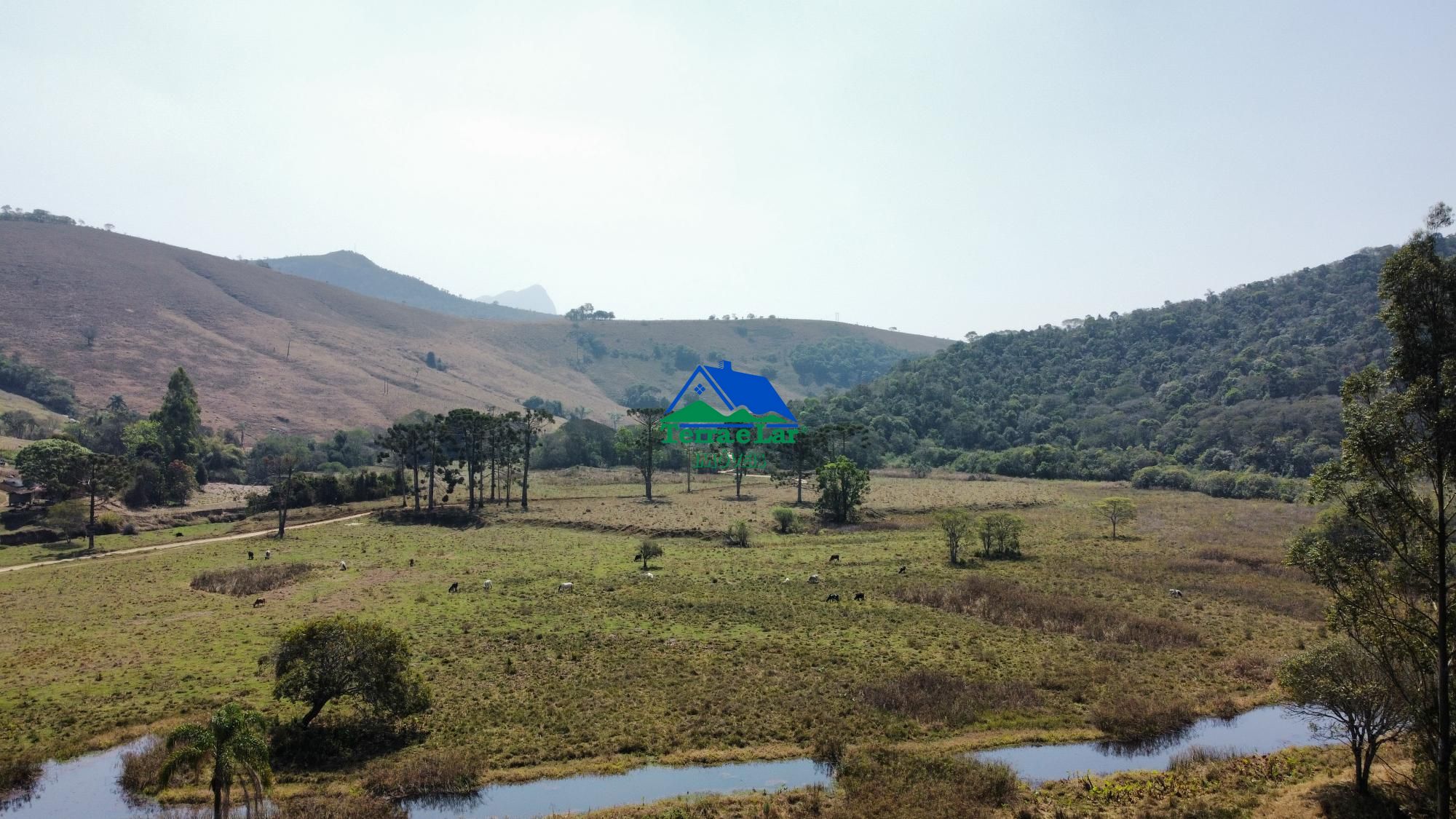 Fazenda à venda com 4 quartos, 12000m² - Foto 2