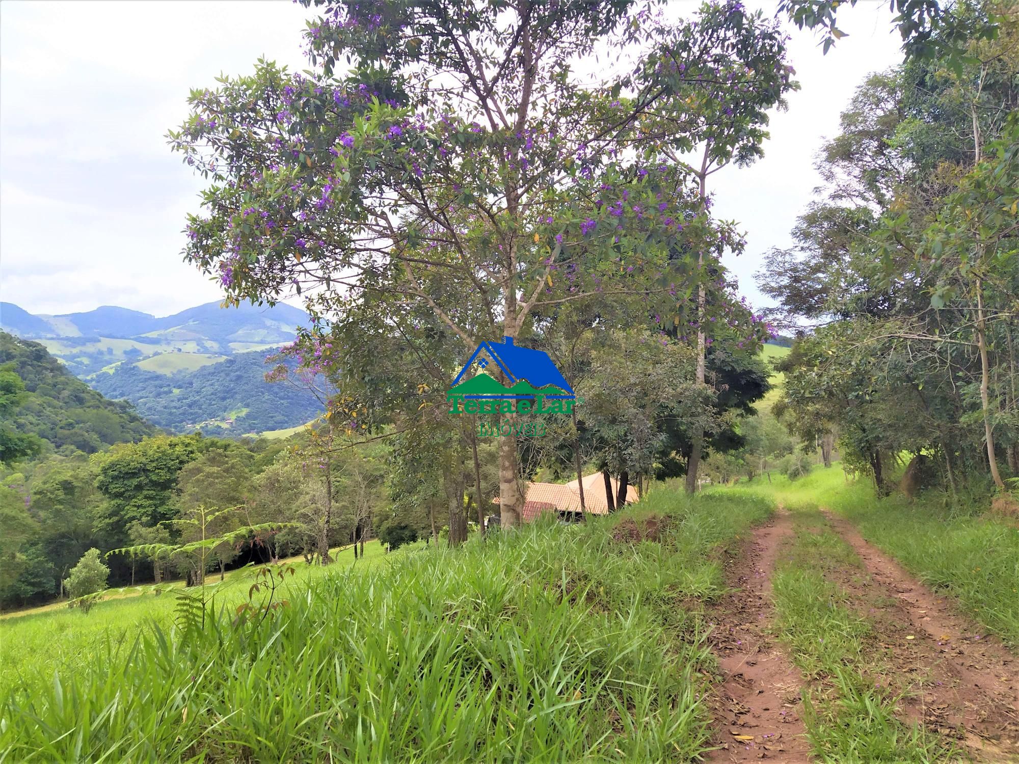 Fazenda à venda com 3 quartos, 170m² - Foto 8