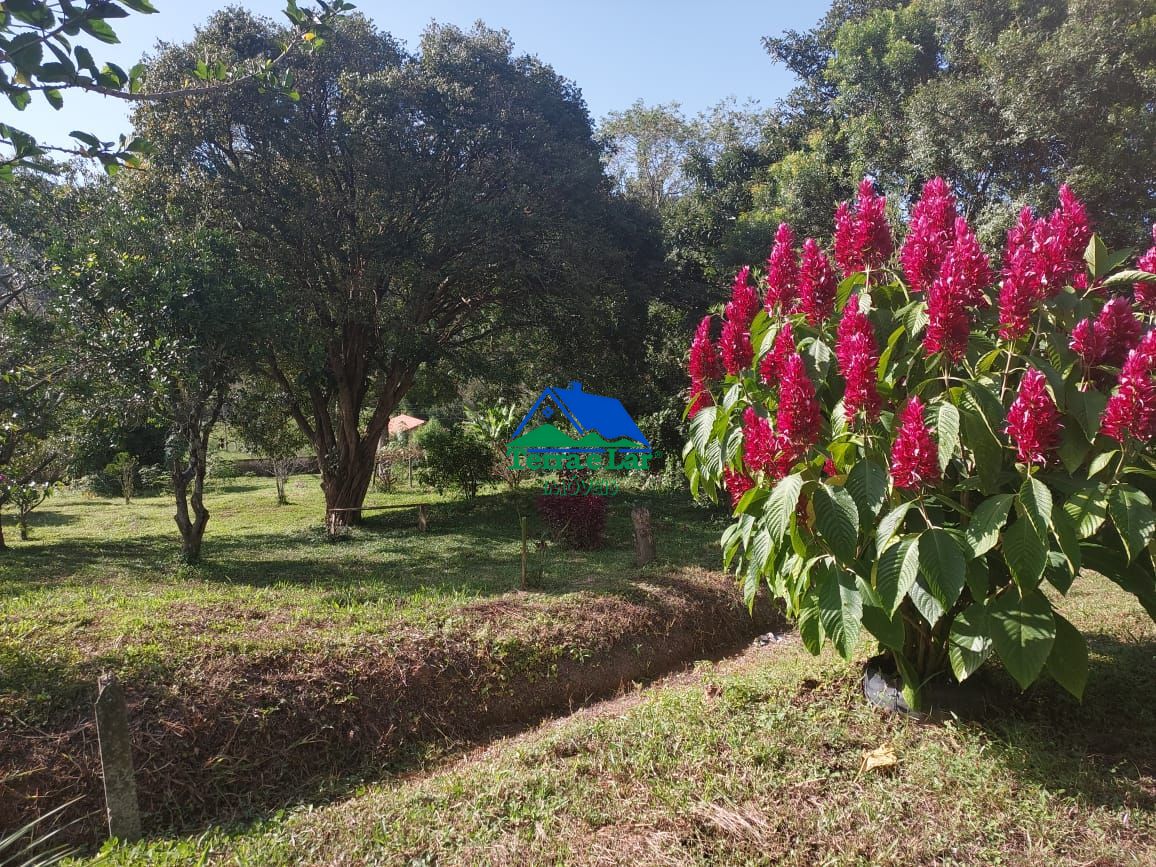 Fazenda à venda com 4 quartos, 10m² - Foto 11