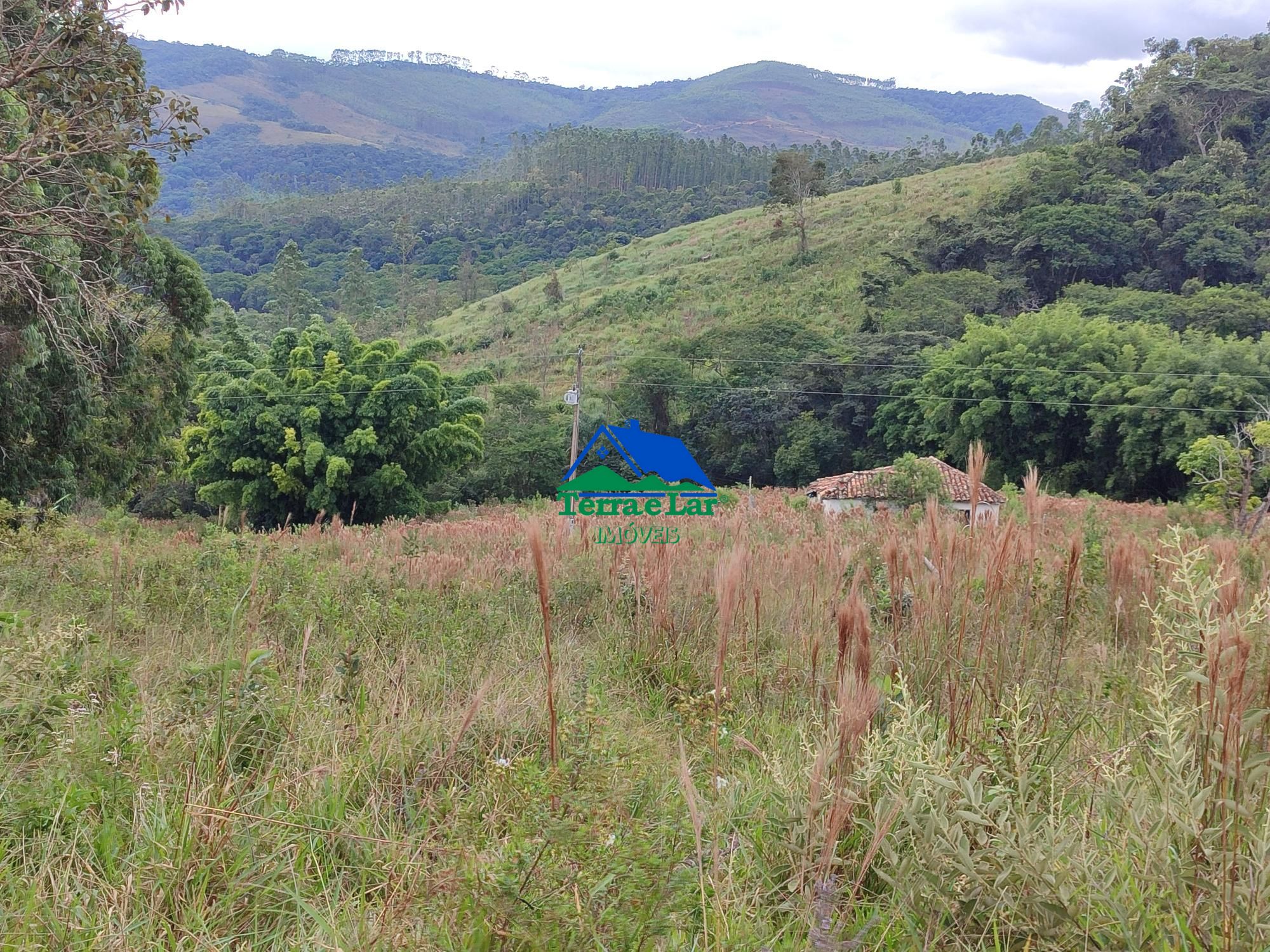 img192473975