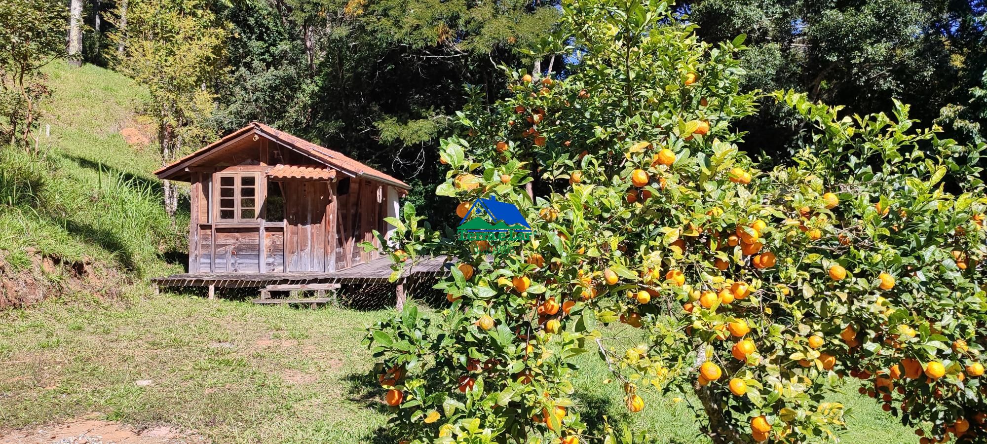 Sítio, 3 quartos, 18 hectares - Foto 6