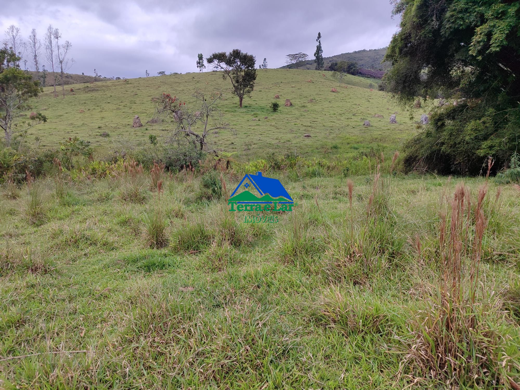 img192473955