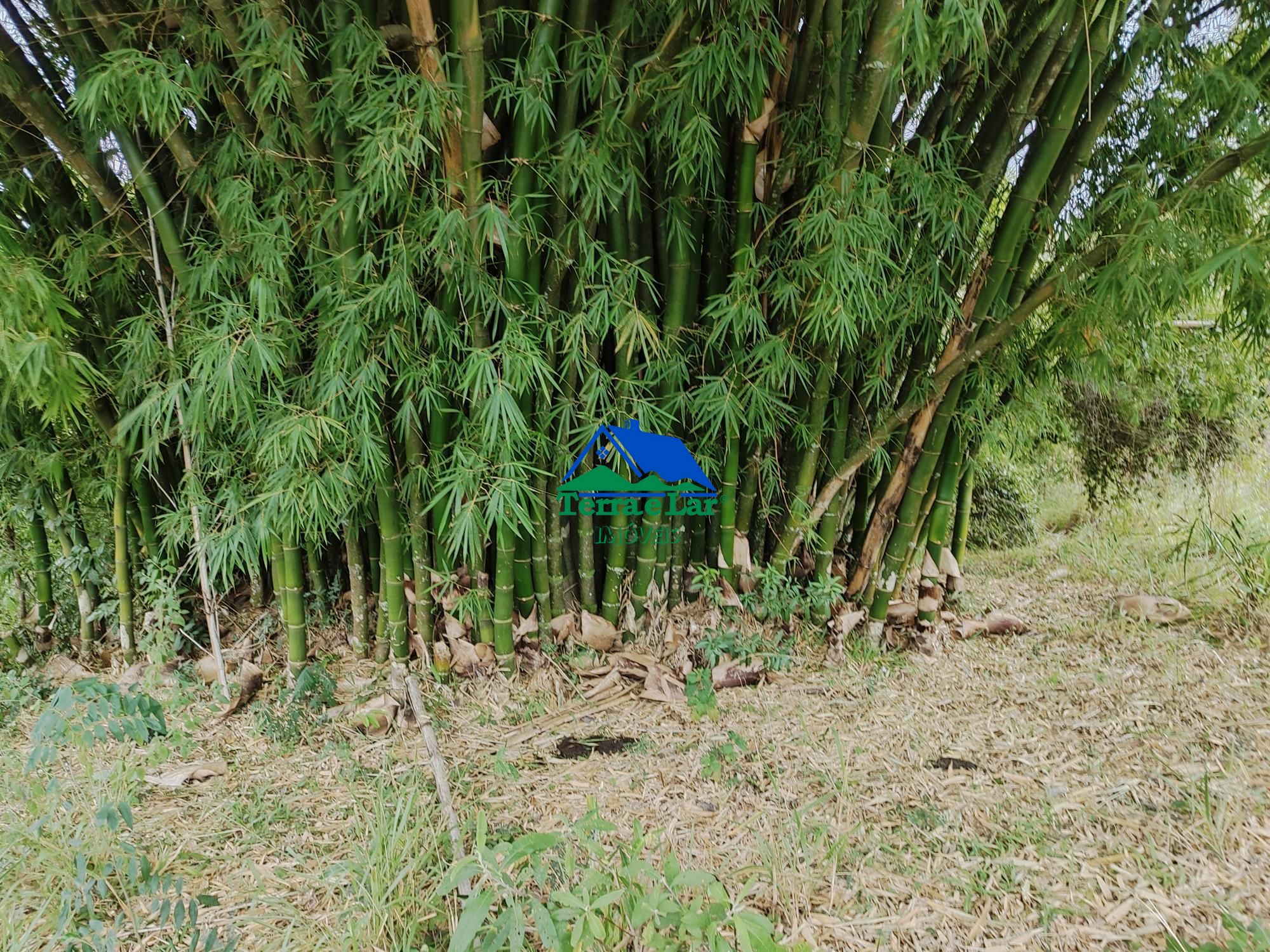 img192473953