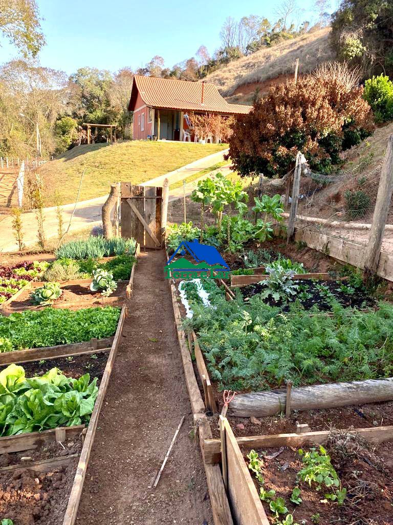 Fazenda à venda com 5 quartos, 10m² - Foto 9