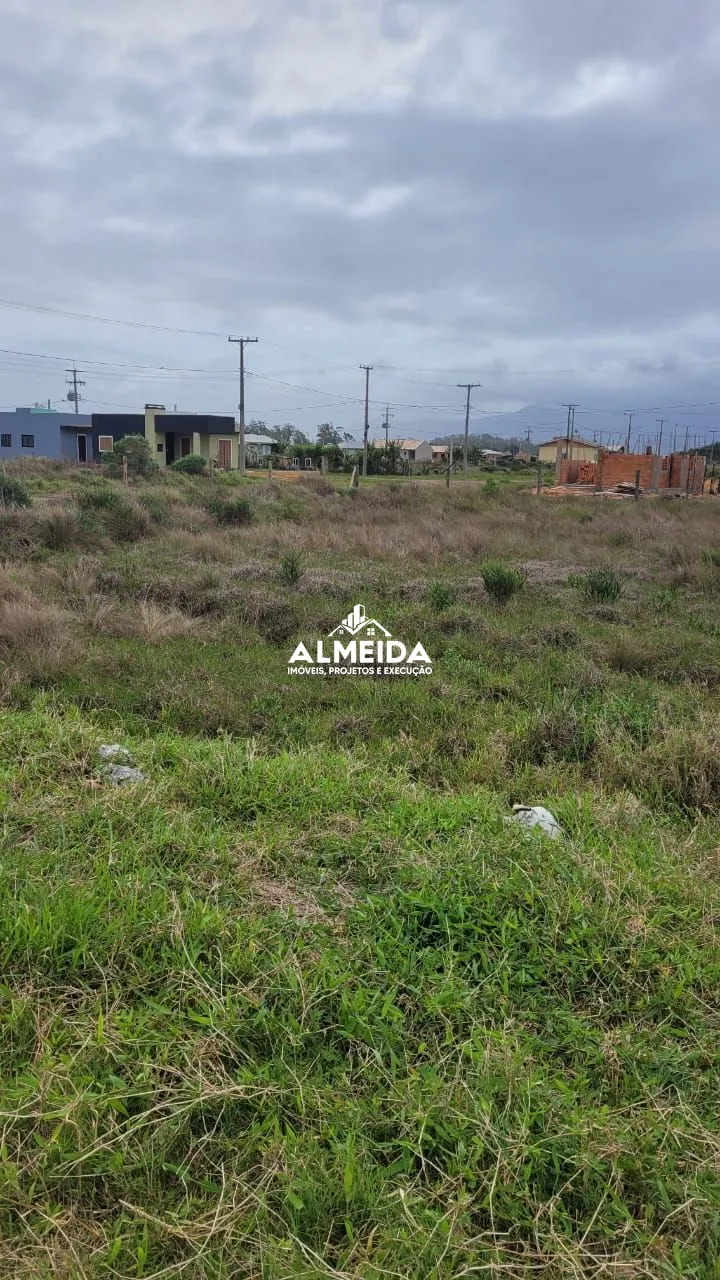 Terreno 323