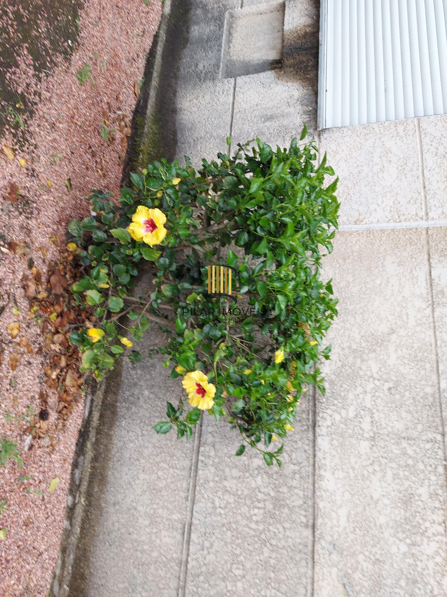 Apartamento 2 dormitórios no bairro Cavalhada