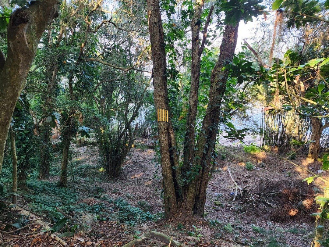 Terreno no bairro Pedra Redonda