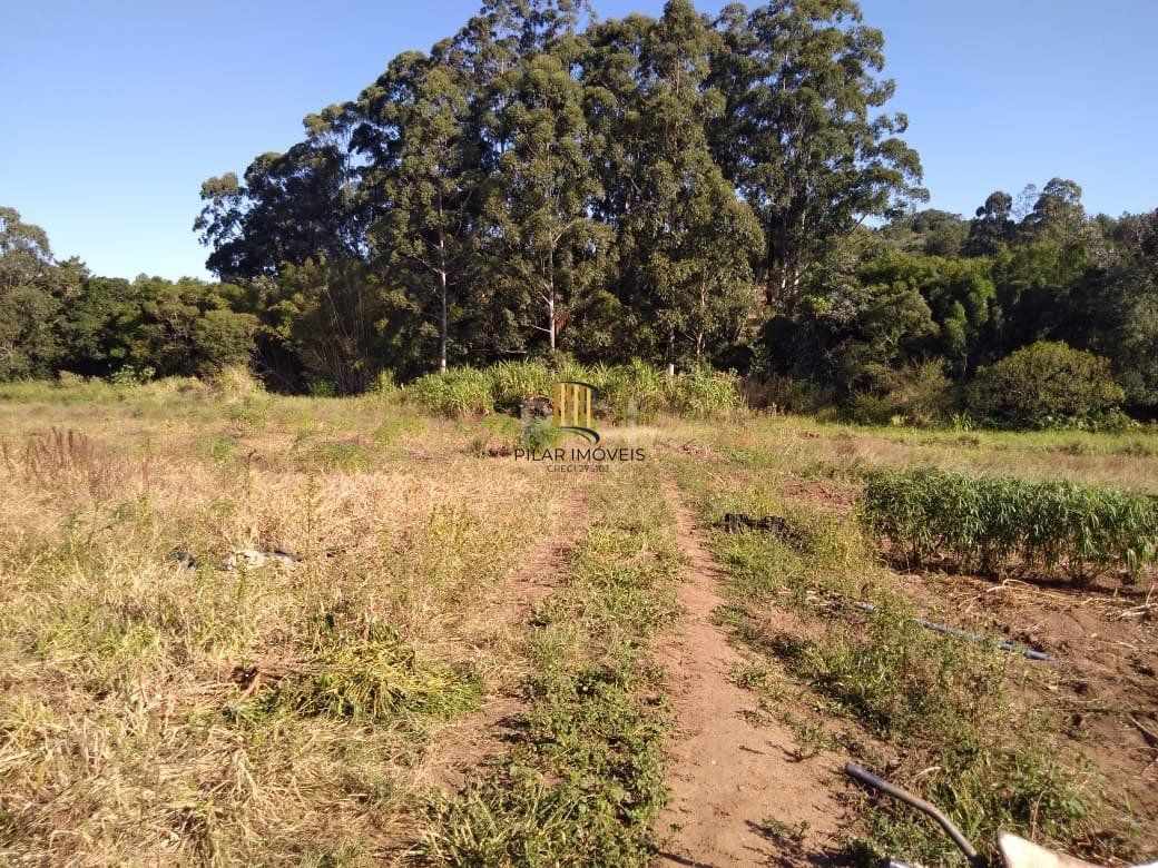 Area para Venda - 36.900m² - Campo Novo