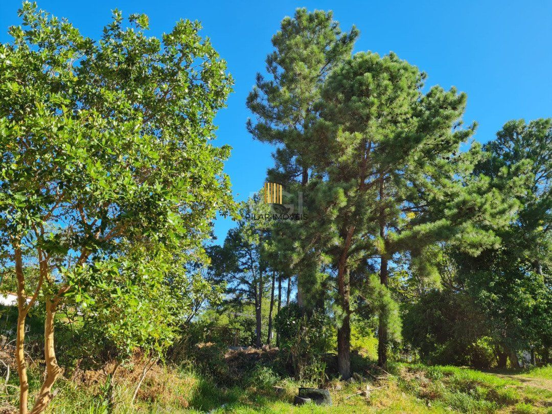 Terreno para Venda - 0m², 0 dormitórios, Vila Nova