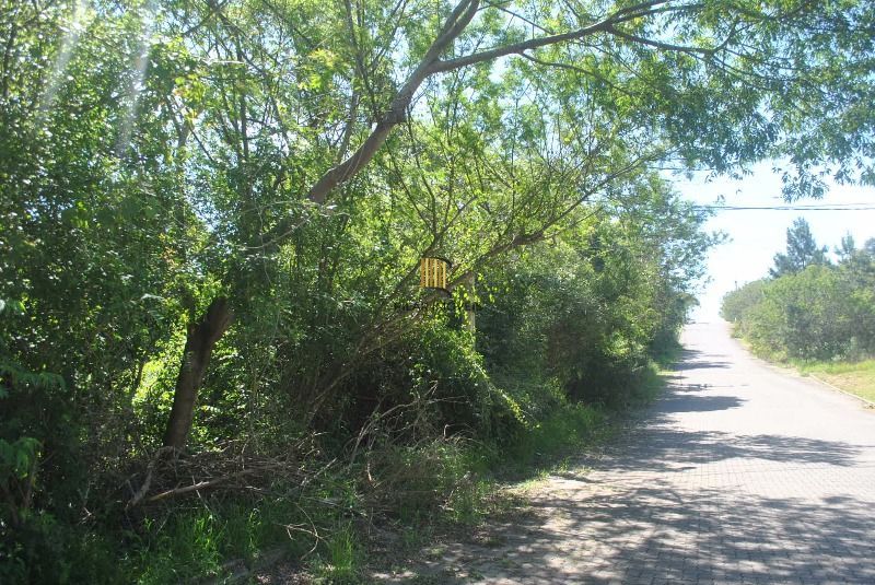 Terreno para Venda - 2611,50m² no bairro Espírito Santo