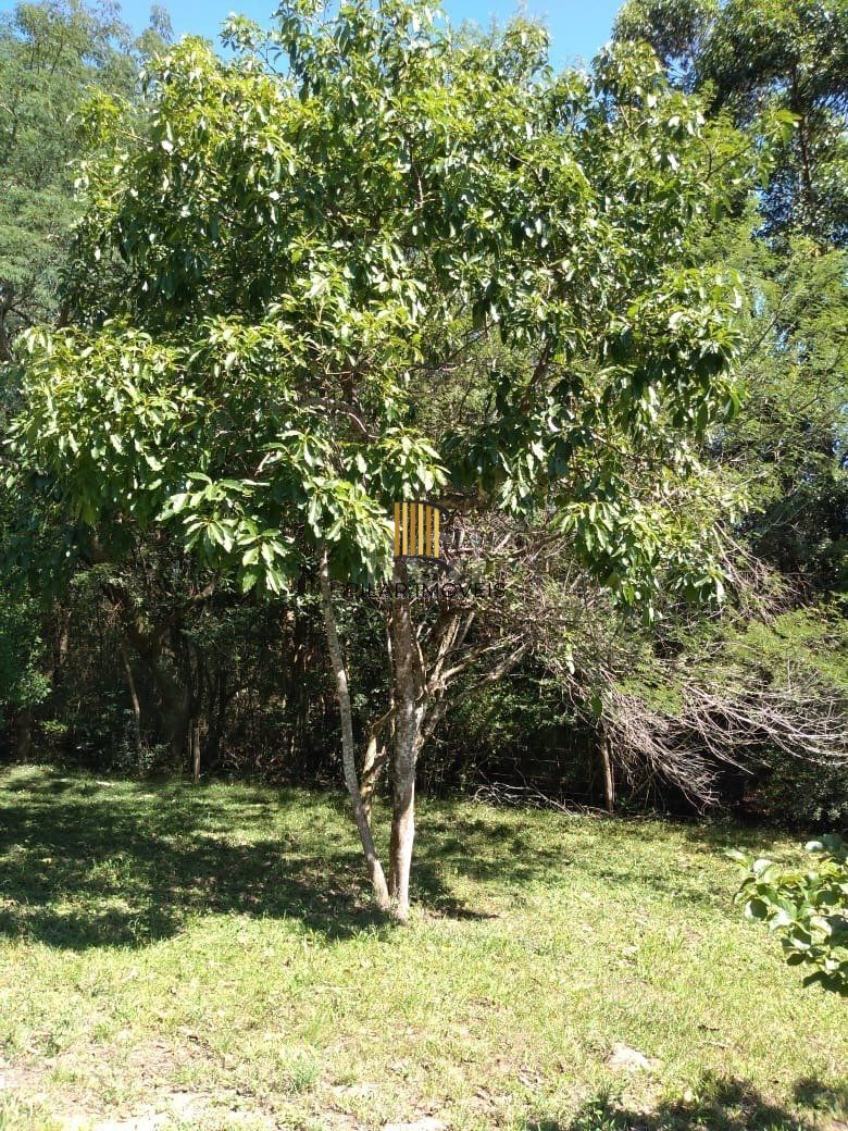 Sítio para Venda - 240m², 4 dormitórios, Itapuã