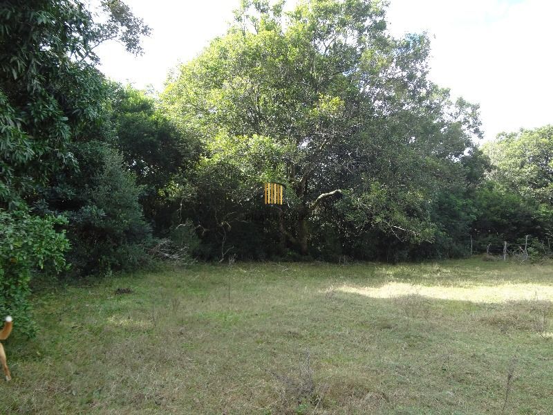 Terreno para Venda - 145.000m²,  Lami