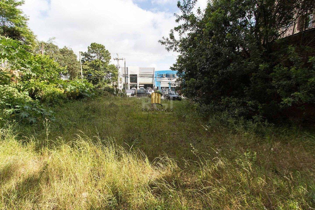 Terreno para Venda - 0m², 0 dormitórios, Tristeza