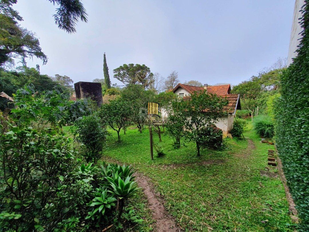 DOIS GRANDES TERRENOS localizados