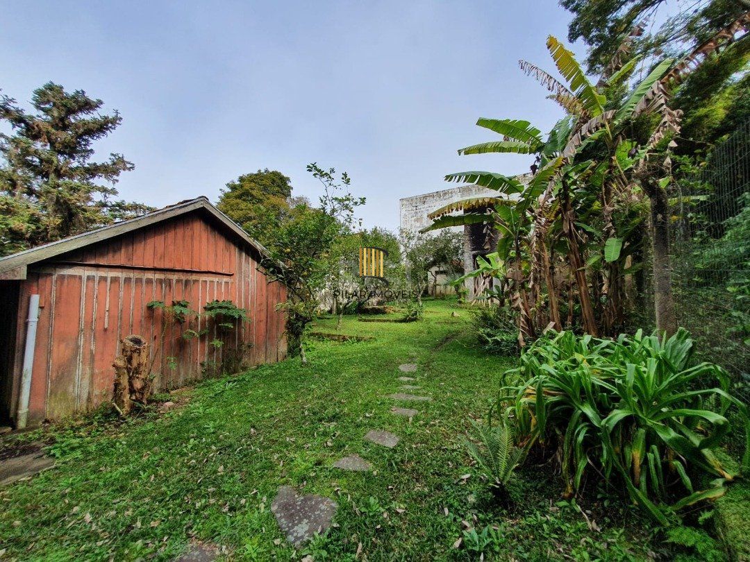 DOIS GRANDES TERRENOS localizados