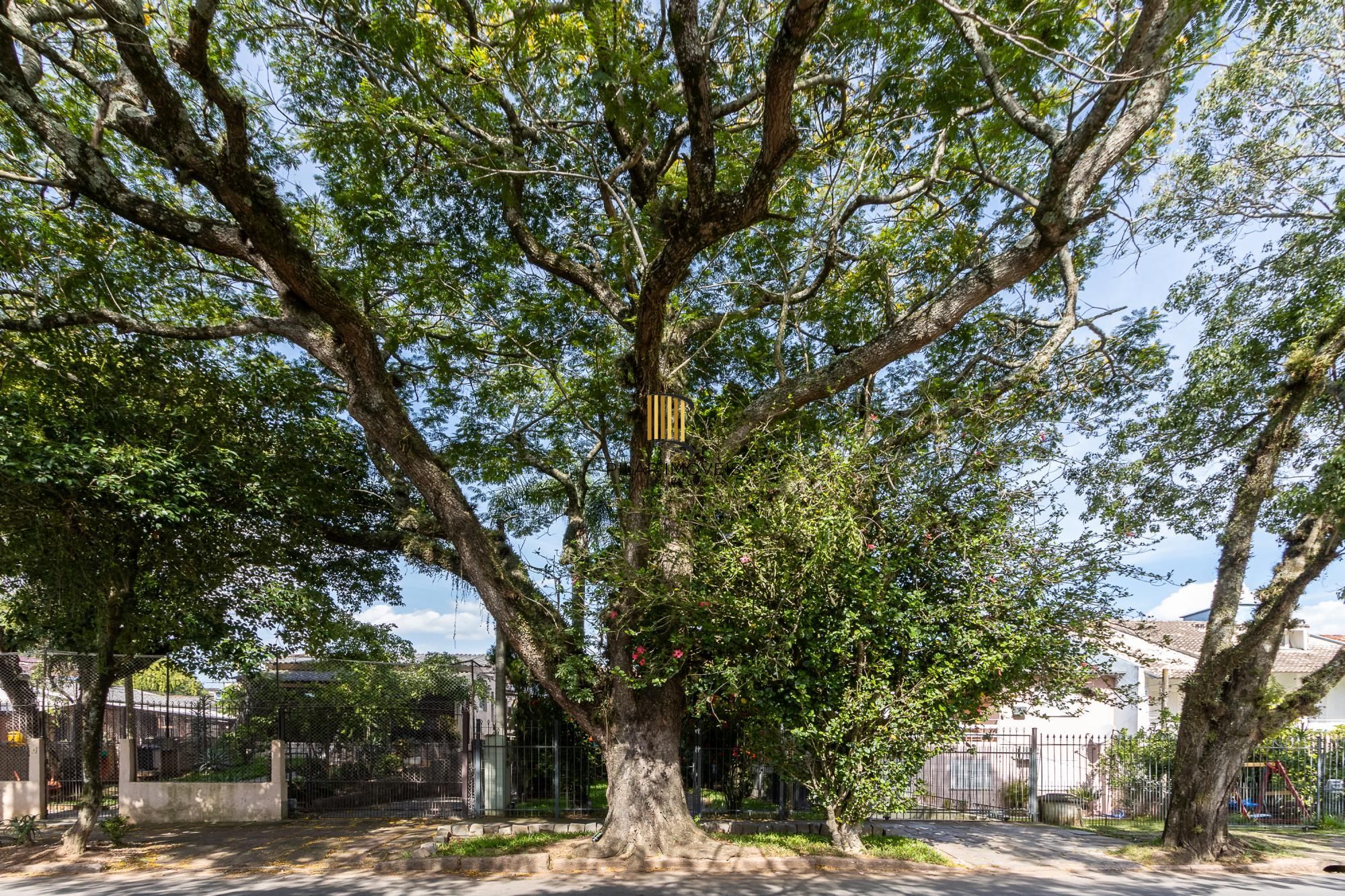 Casa com 3 quartos (1 suite), 4 vagas - Vila Nova