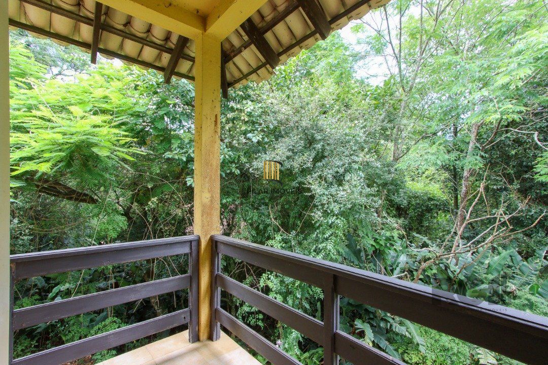 Casa com 3 quartos, suite em terreno com 7.320m² - Belem Velho