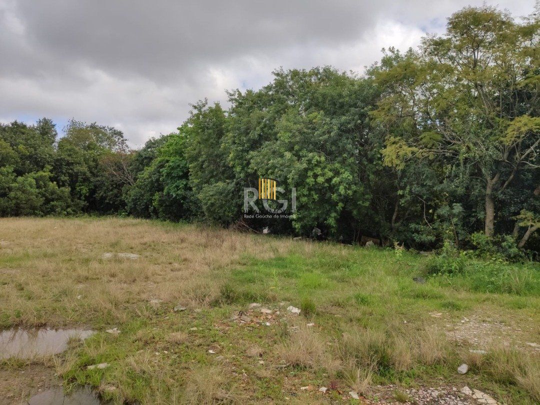 Terreno para Venda - 2264.55m², 0 dormitórios, Camaquã