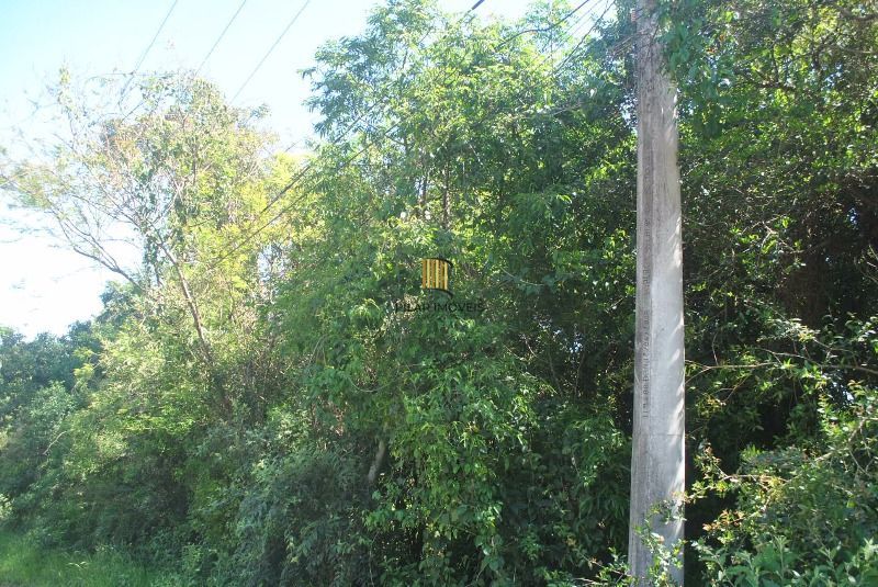 Terreno para Venda - 2611,50m² no bairro Espírito Santo