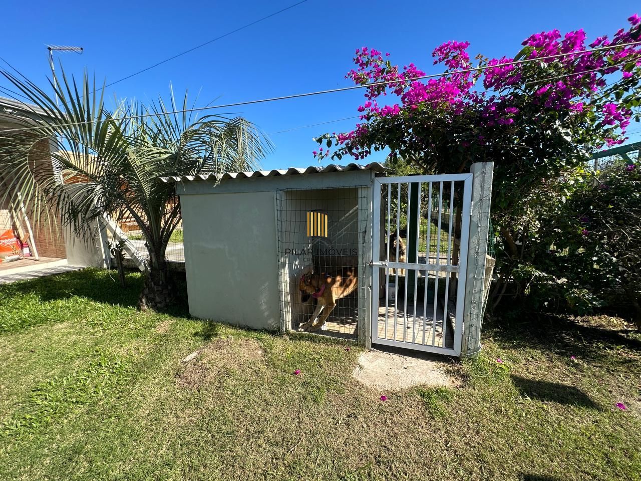 CASA REFORMADA , 4 DORMITORIOS , CHURRASQUEIRA , DESOCUPADA