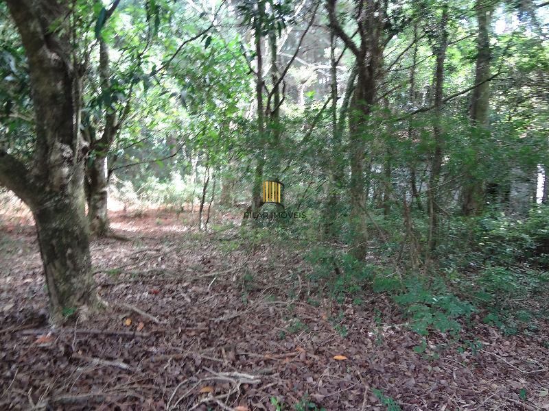 Terreno para Venda - 145.000m²,  Lami