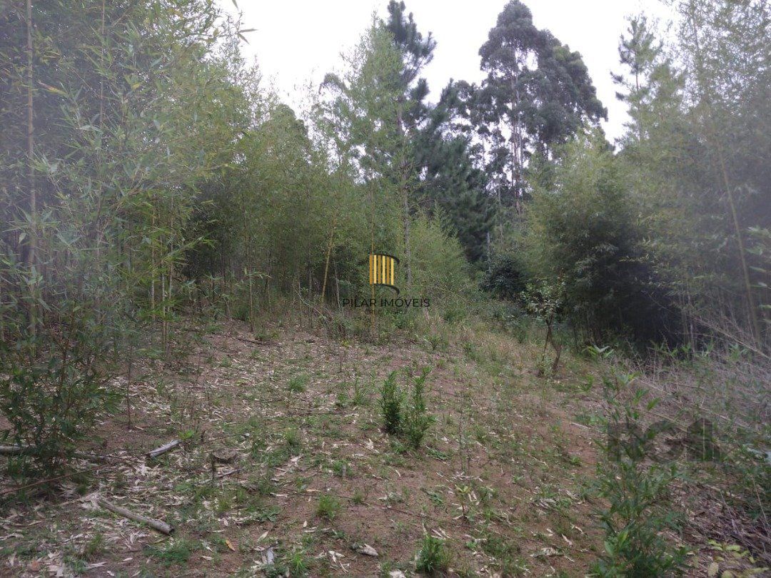 Área 4,69ha | Bairro Belém Velho