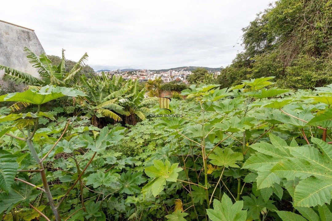 Terreno para Venda - 0m², 0 dormitórios, Vila Assunção