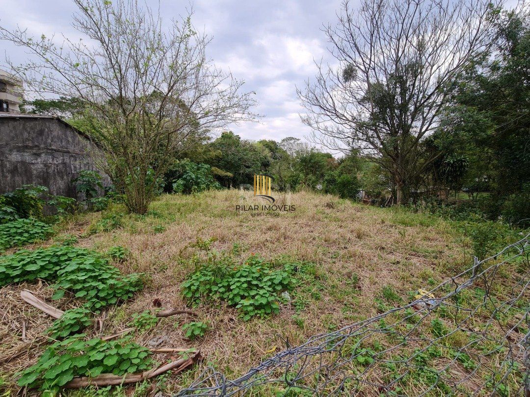 Terreno para Venda - 0m², 0 dormitórios, Tristeza