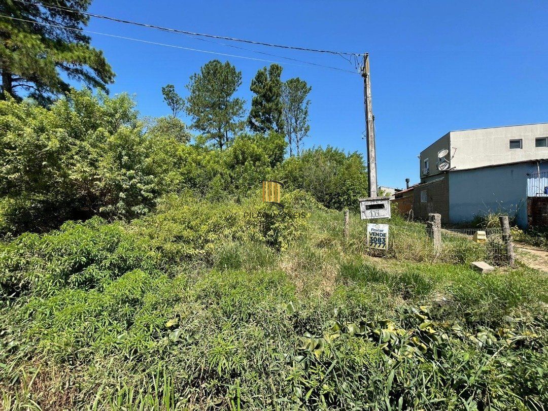 Terreno para venda com 3000m² no bairro Ponta grossa
