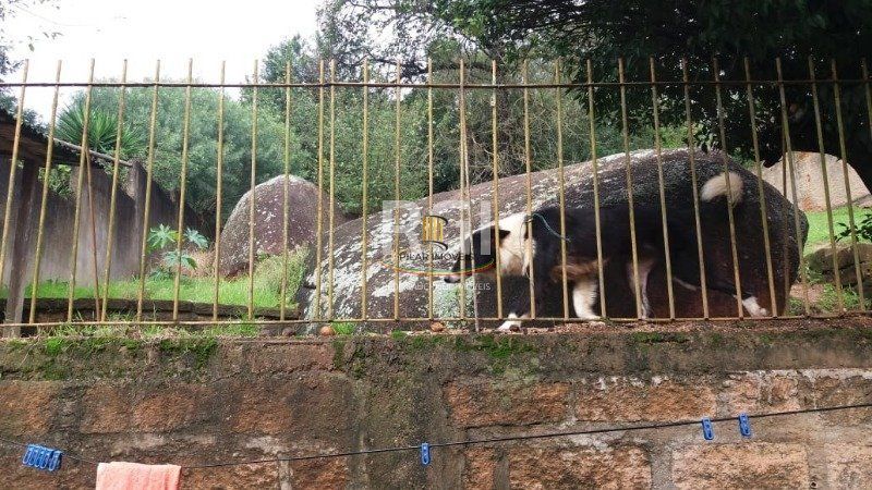 Terreno para Venda - 0m², 0 dormitórios, Tristeza