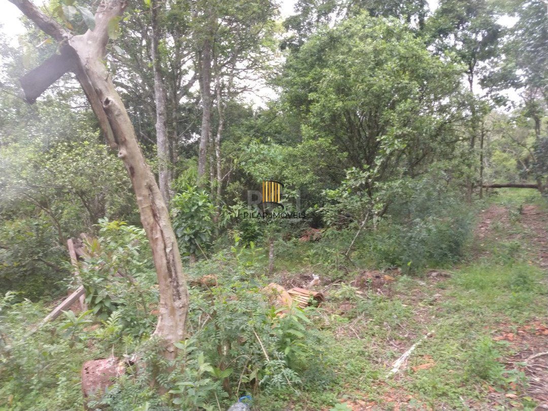 Área para Venda - 11,39ha, bairro Belém Velho