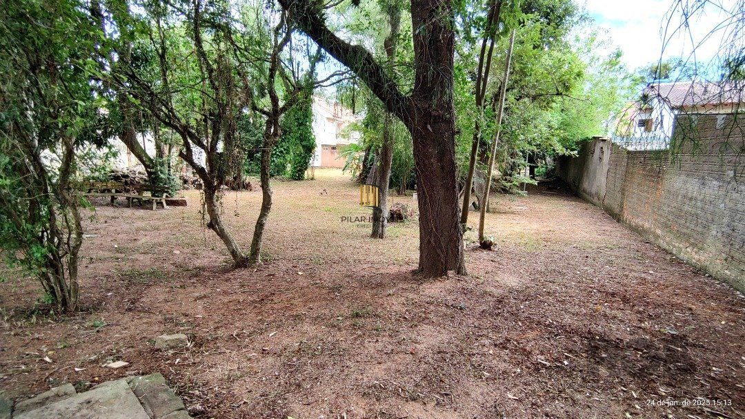 Terreno plano com 24,90m de frente, localizado no bairro Serraria.