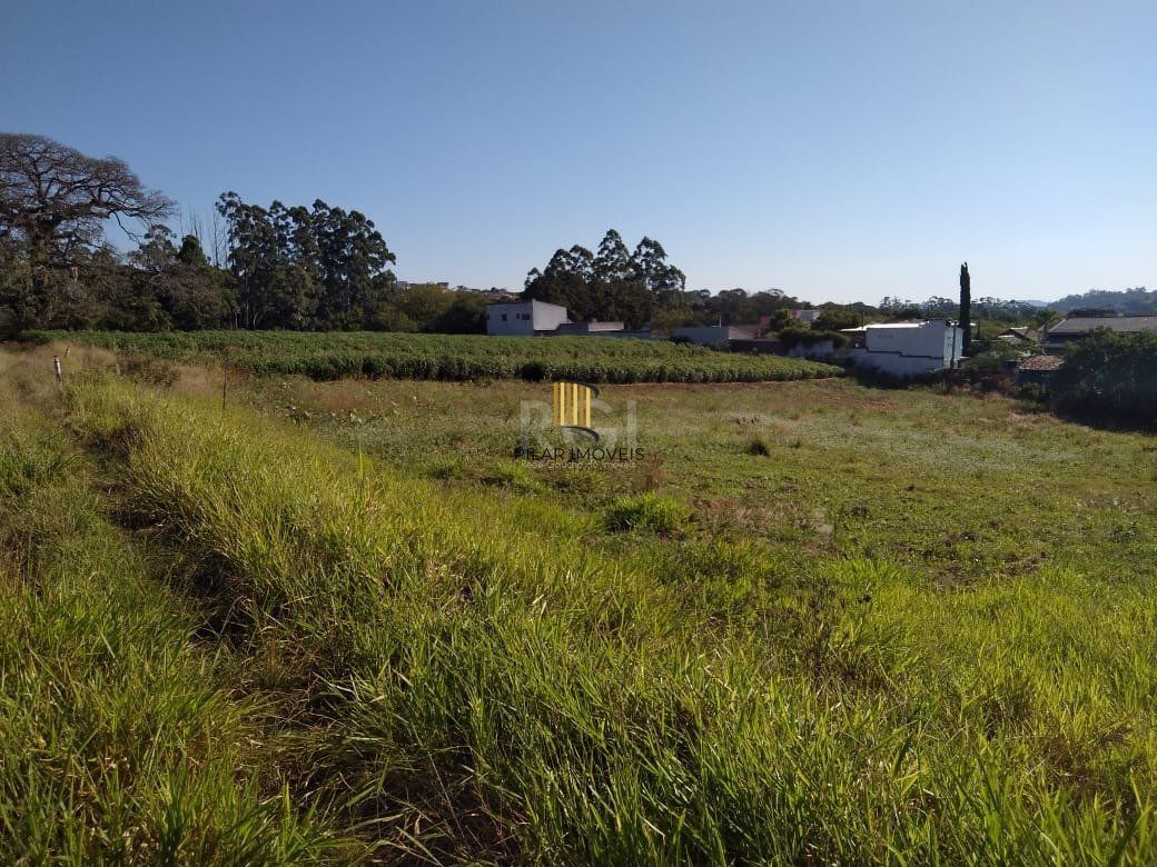 Area para Venda - 36.900m² - Campo Novo