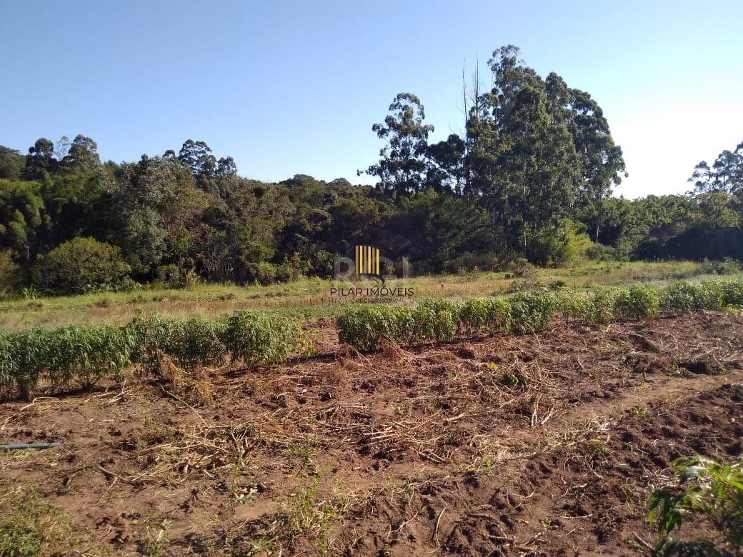 Area para Venda - 36.900m² - Campo Novo