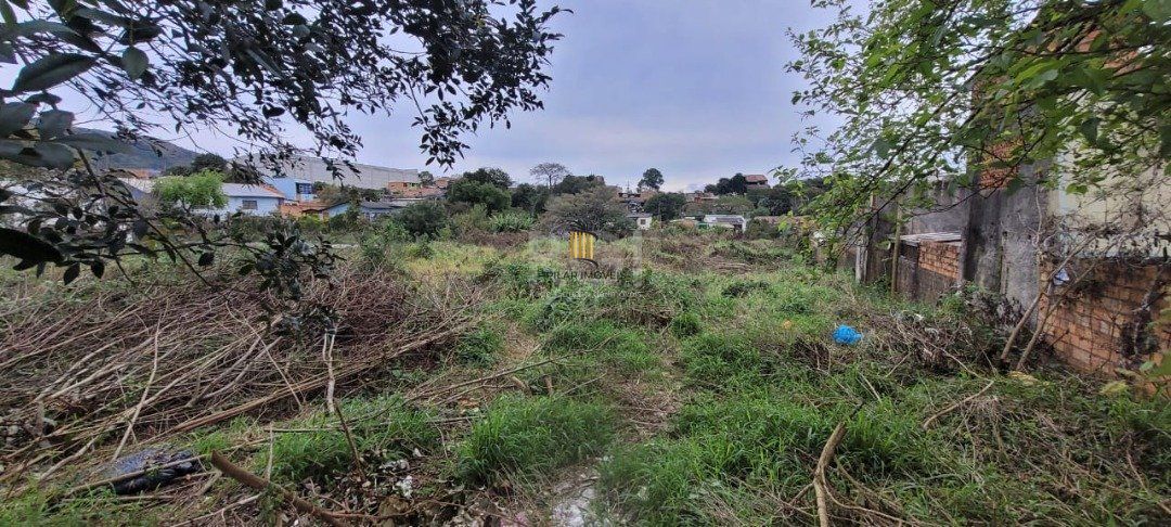 Terreno para Venda - 3.037m² no bairro Campo Novo