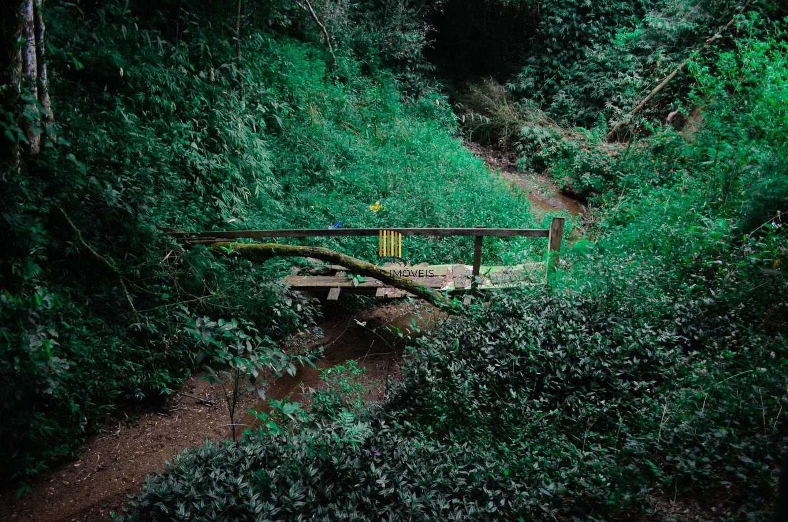 Sítio no bairro Bélem Velho com duas casas e loja comercial