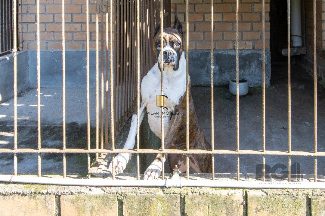Sítio 2 dormitórios no bairro São Caetano