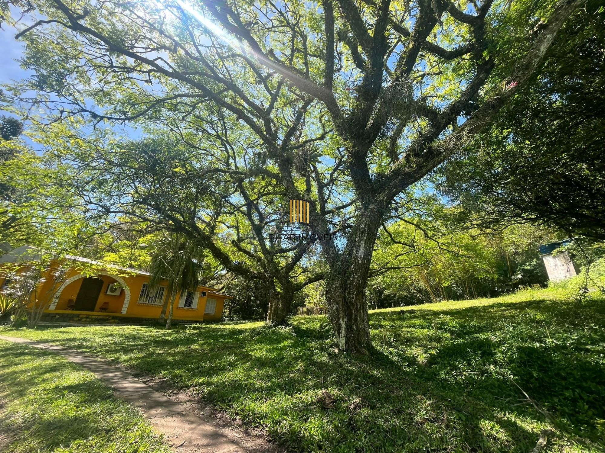 Seu refúgio na zona sul! Chácara incrível em Belém Velho – 1,5 hectare com casa encantadora e açude!