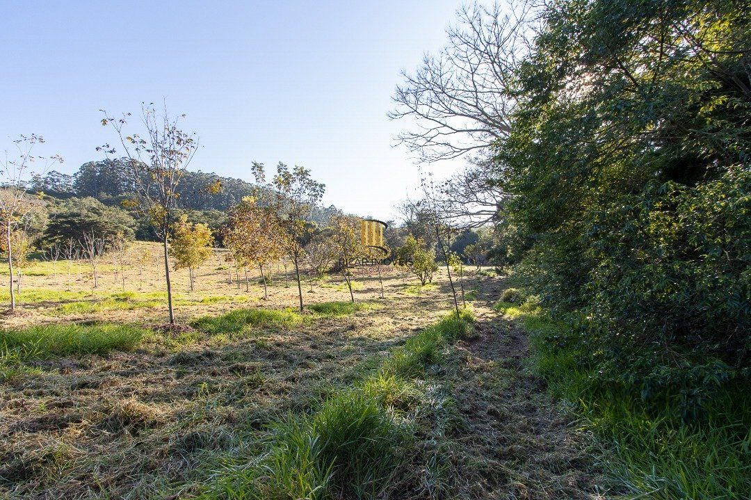 Terreno no bairro Itapuã