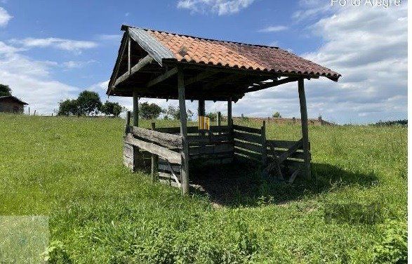 Área 20.000m2 - Bairro Belém Velho