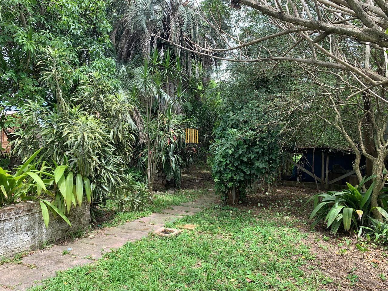 Sossego e natureza em Porto Alegre: 3 quartos, piscina e quase 2000m² de área