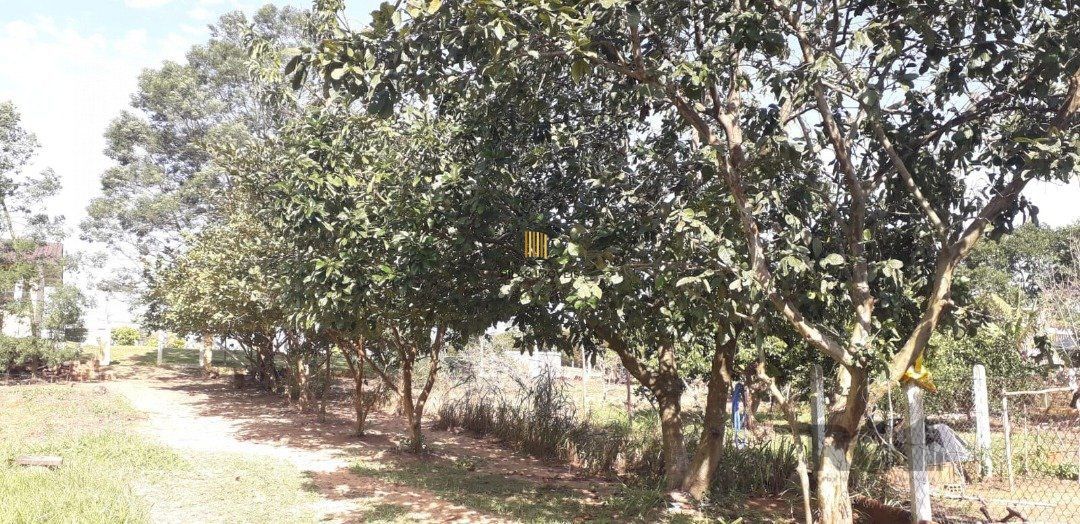 Casa 4 dormitórios no bairro Sítio São José