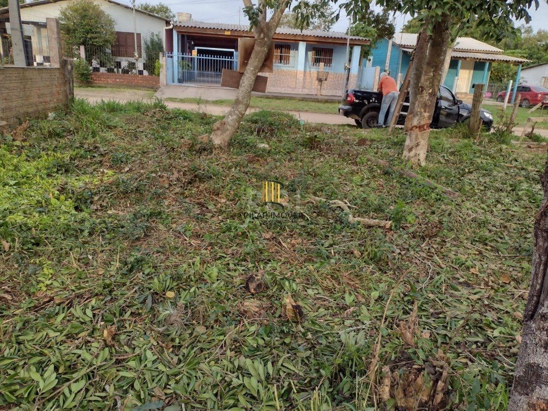 Terreno para Venda - 0m², 0 dormitórios, Lami - Pilar Imóveis
